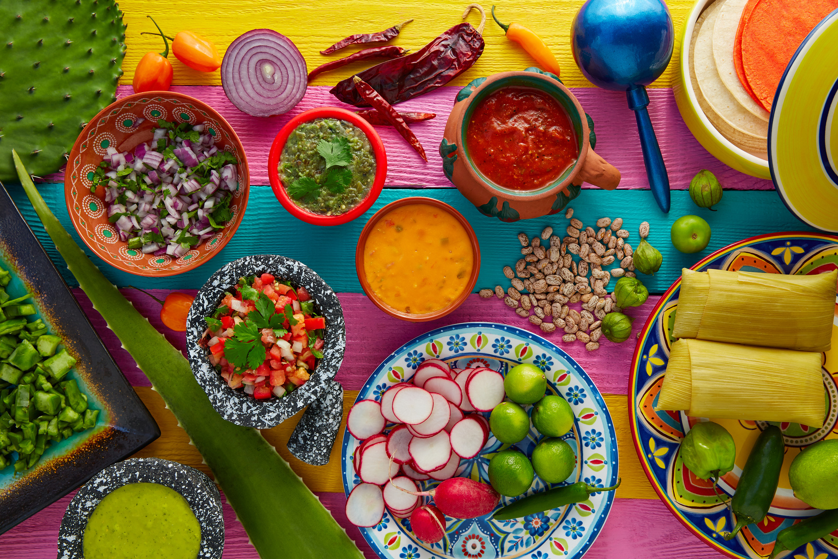 Mexican Food Mix with Sauces Nopal and Tamale